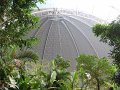 IMG_0025
