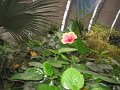 IMG_0105