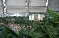 Tropical_island_022