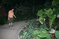 Tropical_island_026