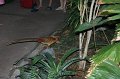 Tropical_island_027