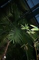 Tropical_island_029