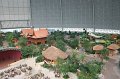 Tropical_island_041