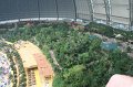 Tropical_island_061