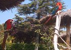46_ein_wunderschoener_Tag_im_Marineland